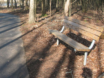 bench along the trail