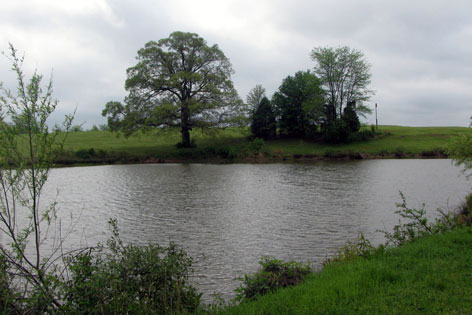 Side Pond