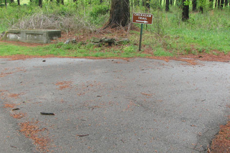 Trail Junction