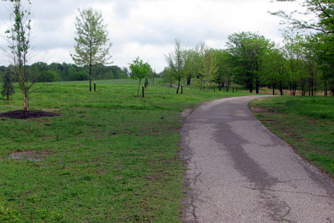 Arboretum