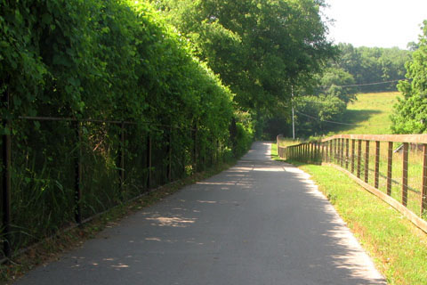 path along farm