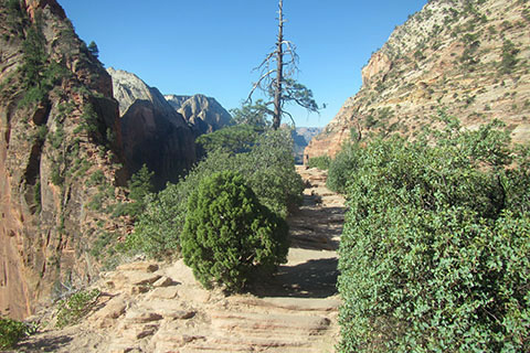 path near the ridge