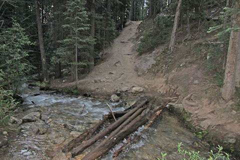 A few logs serving as a crossing for the intermittent creek