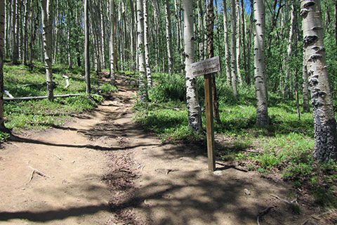 Starting the South Mount Elbert Trail