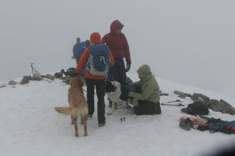 Grays snowy summit