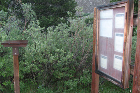 Wilderness area sing and registration box