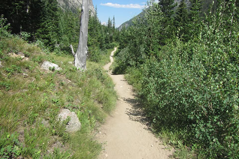 Cascade Canyon Trail