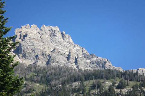 Mount Teewinot from the ridge