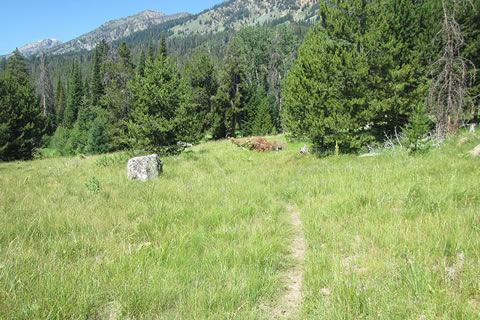 fields along the Valley Trail