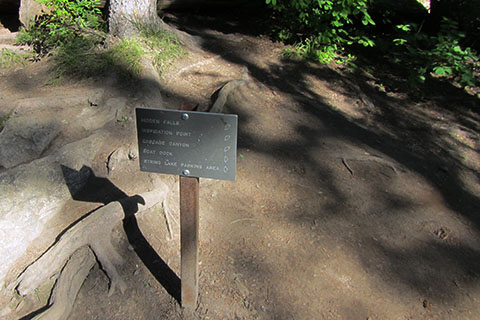 Cascade Canyon Trail Junction