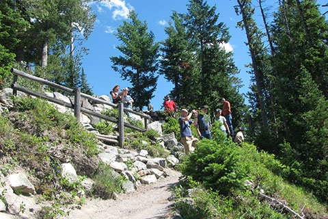 crowds at Jenny Lake Overlook