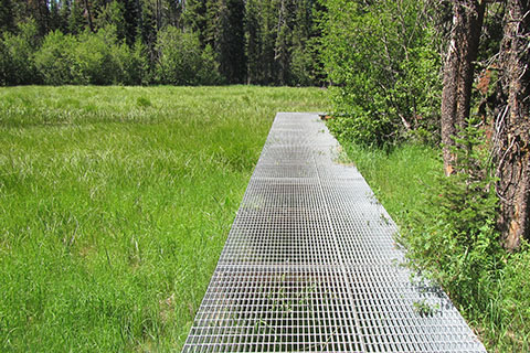 Metal grate walkway across wet grassland