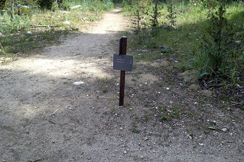 Trail junction with the Woodland Trail