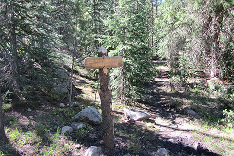 Trail sign for Upper Onahu Creek Campsite. The campsite is between the sign and the creek.