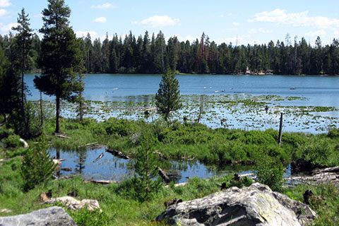 view to the east shore of String Lake