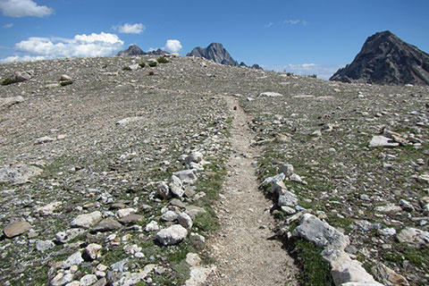The trail along Paintbrush Divide