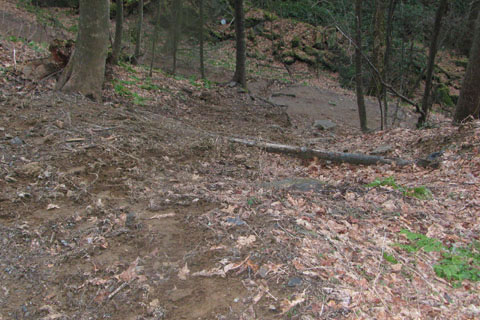path shortcut at switchback