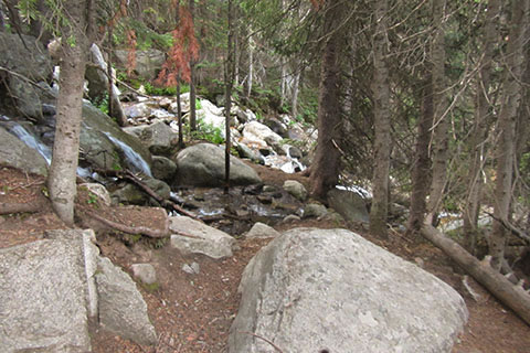 Hallett Creek cacading over rocks near a trail switchback
