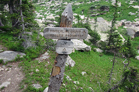 Trail sign and trail for Timberline Group campsite
