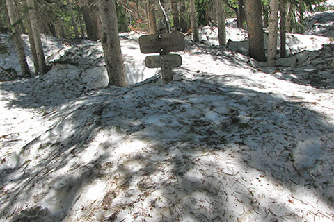 Sandbeach Lake trail sign in a deep snow bank