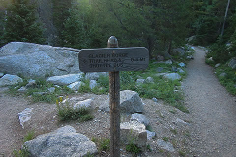 Signed trail junction with the Glacier Creek Trail
