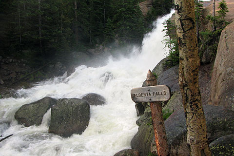 Early morning at Alberta Falls. Glacier Creek is running at early summer flooding stage