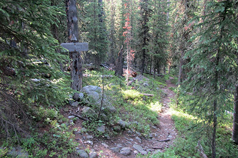 Side trail to Timber Creek Campsite