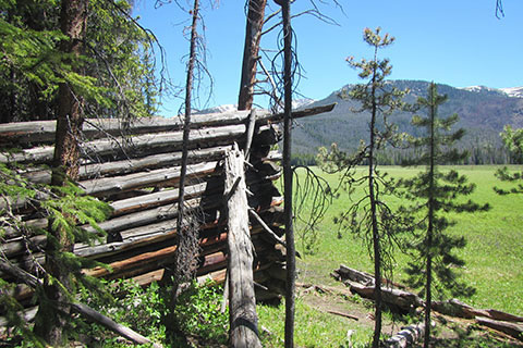 Ruins of a log cabin next to the trail on the west side of Big Meadow