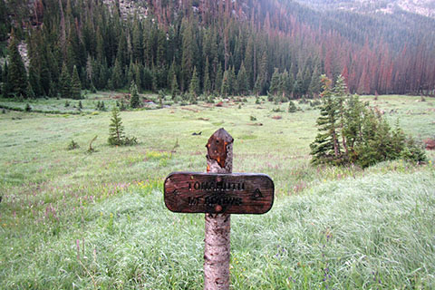 Trail sign for the Tonahutu Meadow Campsites. Sign is with the grassy meadow in the background