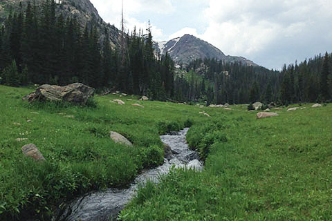 Tonahutu Creek passing through meadow with Peak 12,216' in the background
