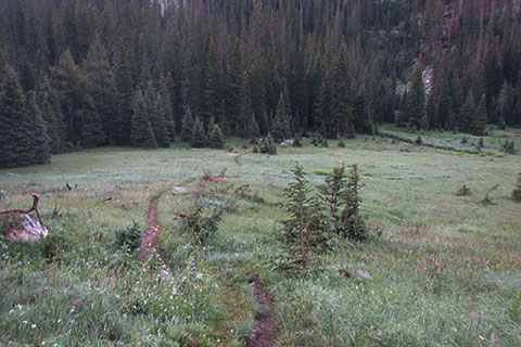 Side trail descends to the Tonahutu Meadow campsites