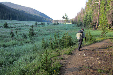 Hiker on trail next to Big Meadow