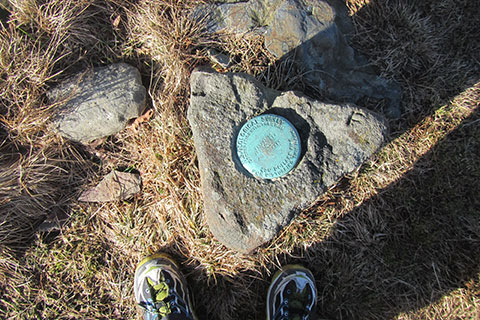 The benchmark on Gregory Bald