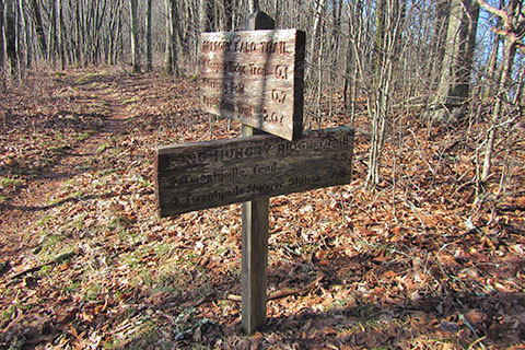 Trail distances sign at the junction of Long Hungry Ridge Trail and Gregory Bald Trail