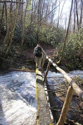 crossing a footbridge in Great Smoky Mountain National Park