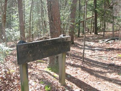 Greeter Trail junction