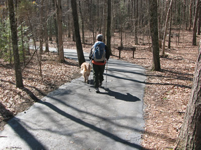 Stone Door paved path section