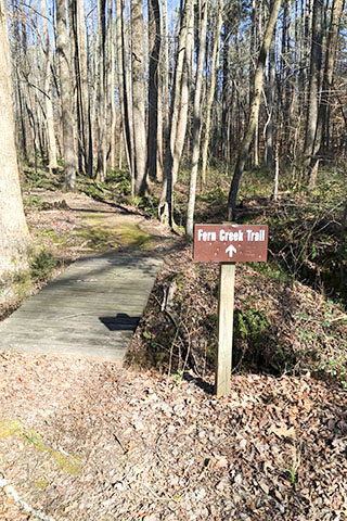 Small bridge on access trail leading to Fern Creek Trail