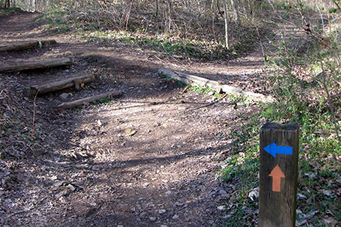 Harpeth Woods Trail in Edwin Warner Park