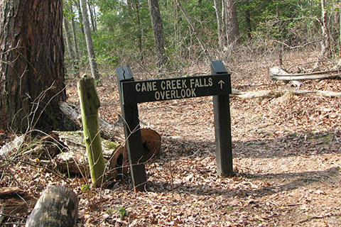 Cane Creek Falls Overlook side trail Junction