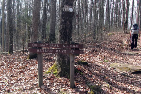second junction, side trail goes to the Natural Bridge