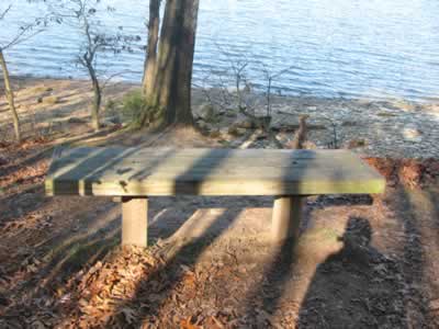 bench near the water