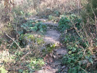 easy climb on trail to top of cliff