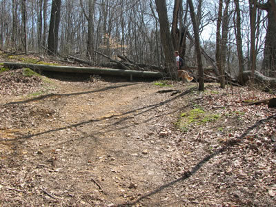 Trail crosses Horse trail
