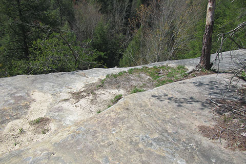 Exposed sandstone makes a good viewpoint of Thompson Creek