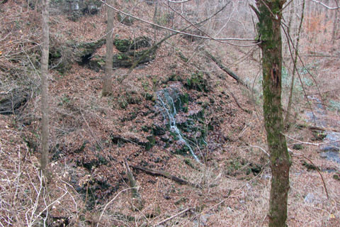 seep from side of Adams Falls drainage