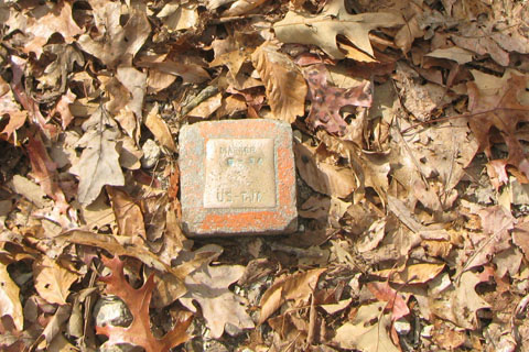 Benchmark on the trail down to the branch