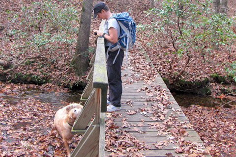 brdige on the Connector Trail