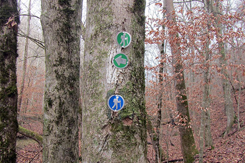 trail junction