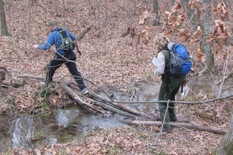 crossing drainage on logs